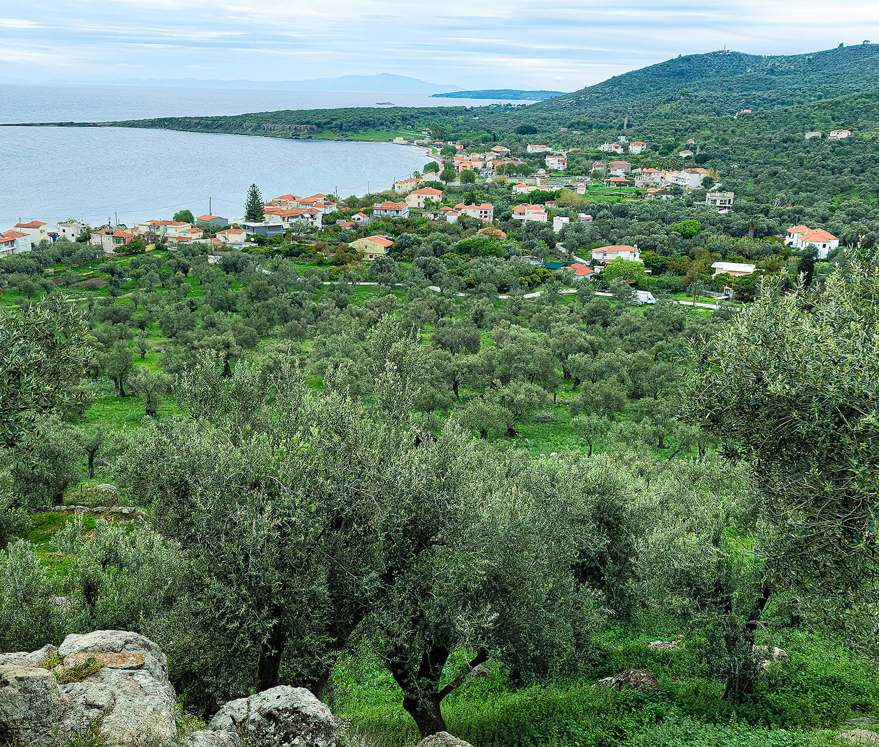 Blick auf Lesvos